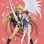 valkyrie drive mermaid
