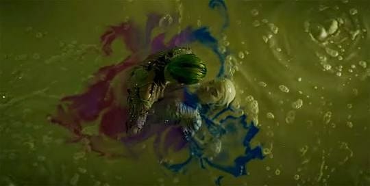 images (7)