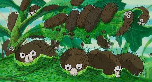Boro the caterpillar