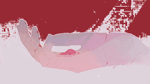 giphy,