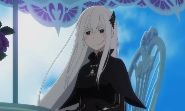 Re: Zero Echidna