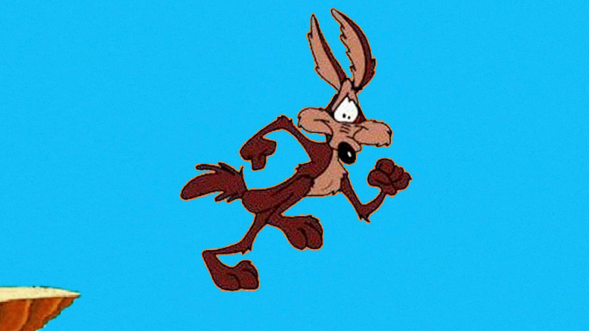 coyote time